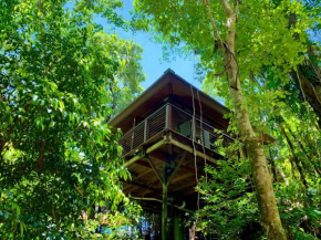 Cairns Rainforest Retreat